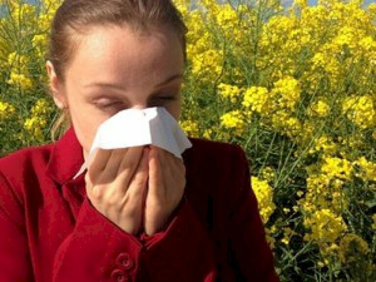 eternuement,-maux-de-gorge,-yeux-rouges…-plusieurs-departements-d’occitanie-en-alerte-rouge-face-aux-allergies-aux-pollens