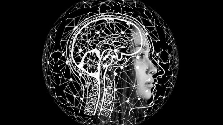 le-cerveau-humain-est-il-vraiment-l’objet-le-plus-complexe-de-l’univers?