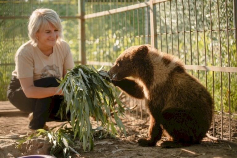 « les-ours-paniquaient » :-ces-ukrainiens-qui-sauvent-des-animaux