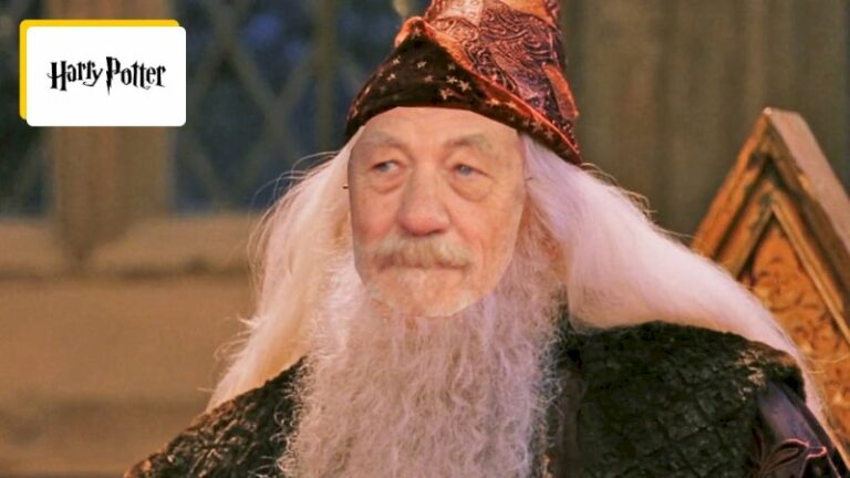 de-gandalf-a-dumbledore-?-ian-mckellen-a-refuse-de-jouer-dans-harry-potter-a-cause-d’un-commentaire-desobligeant
