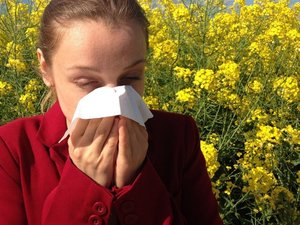 Éternuement, maux de gorge, yeux rouges… plusieurs départements d'Occitanie en alerte rouge face aux allergies aux pollens