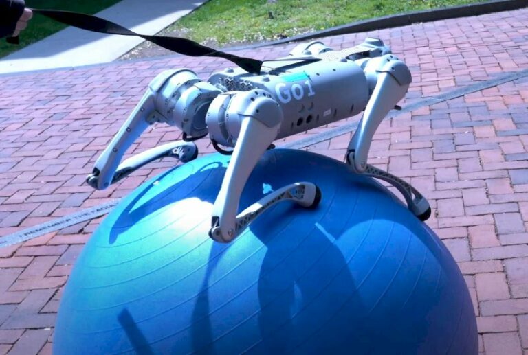 incroyable-prouesse-d’un-robot-chien-qui-tient-des-heures-sur-un-ballon-qui-roule
