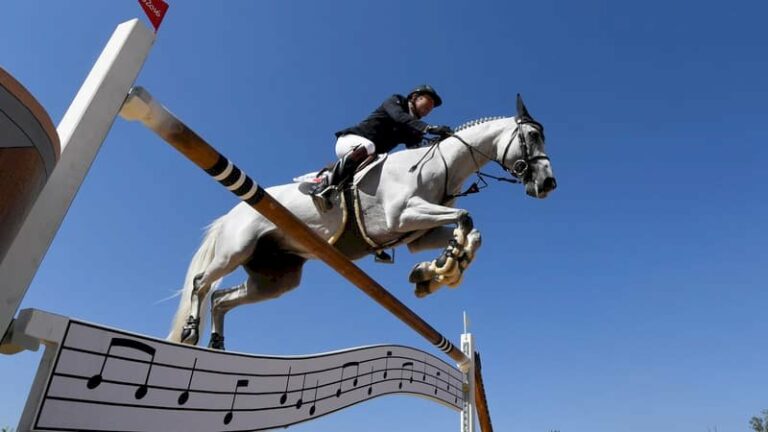 var:-un-cheval-d’un-elevage-des-arcs-en-lice-pour-participer-aux-jeux-olympiques